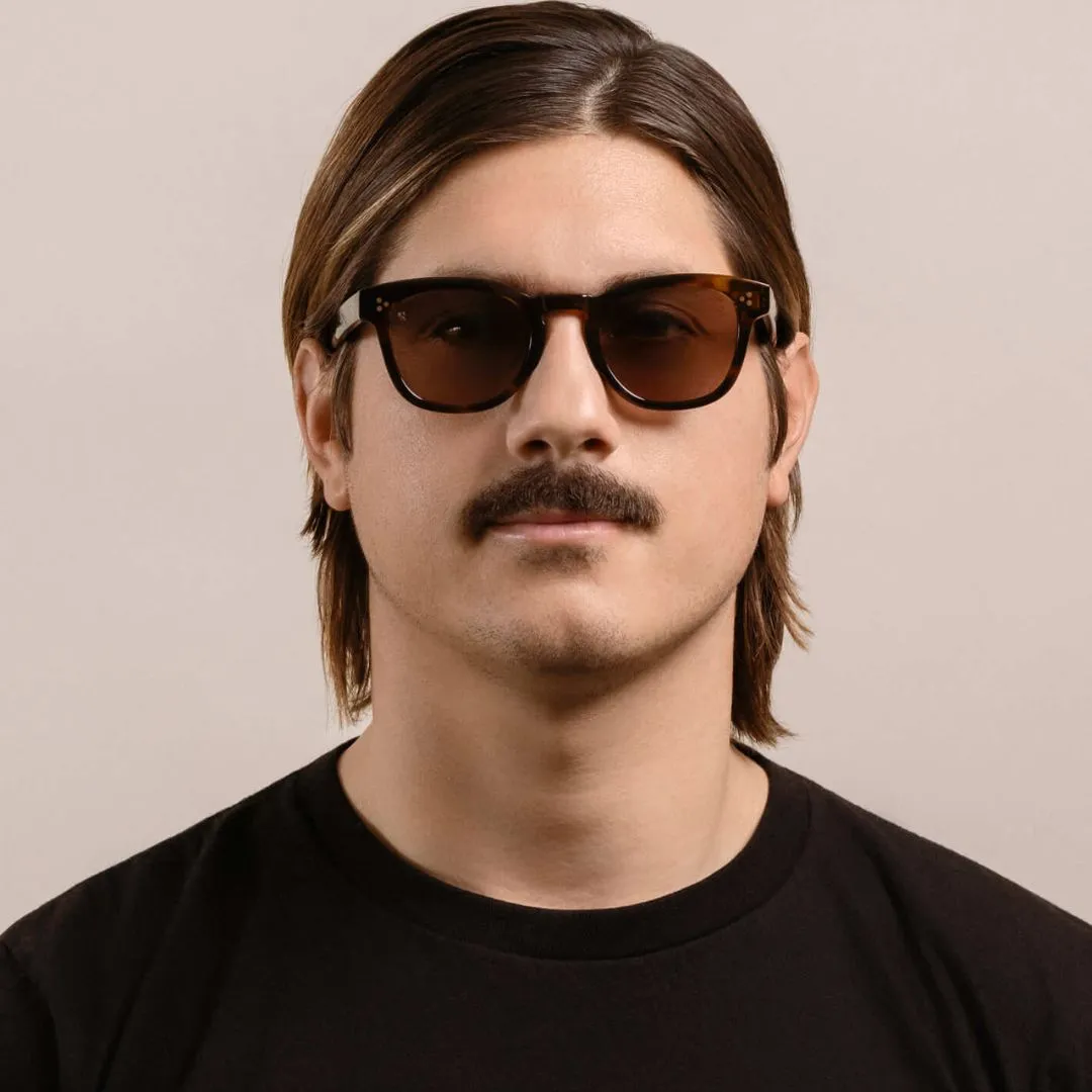 Squire Sunglasses (Kola Tortoise   Caramel)