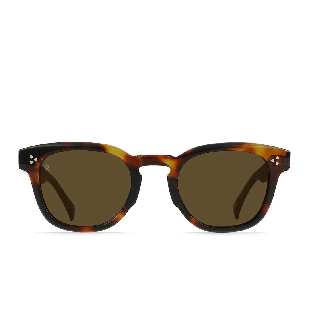Squire Sunglasses (Kola Tortoise   Caramel)