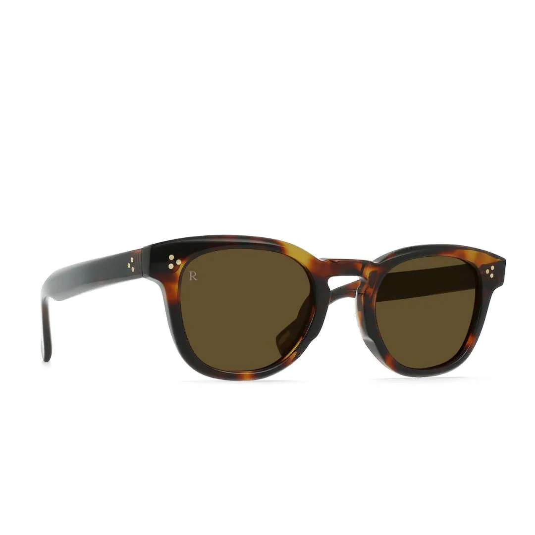 Squire Sunglasses (Kola Tortoise   Caramel)