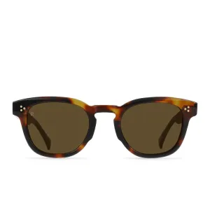 Squire Sunglasses (Kola Tortoise   Caramel)